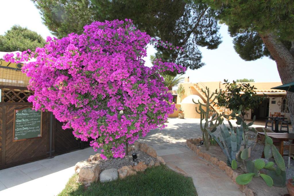 Finca Can Toni Sant Jordi de ses Salines Dış mekan fotoğraf